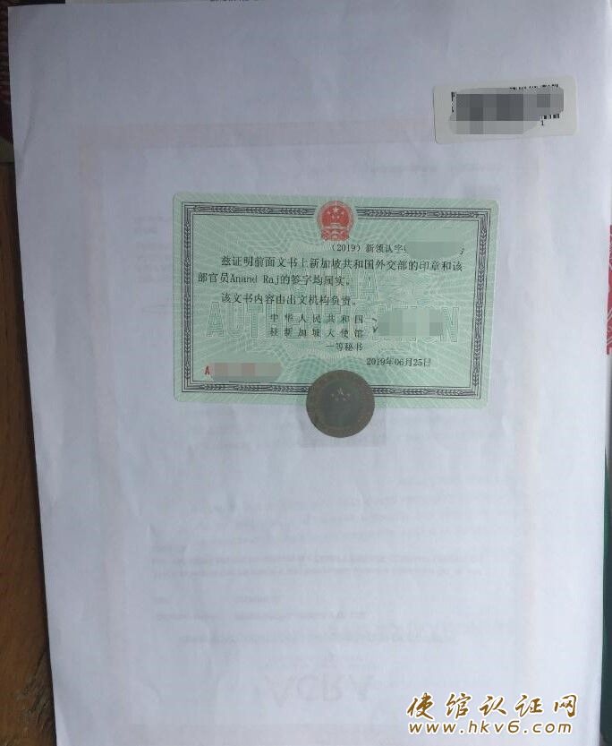 新加坡公司营业执照公证样本